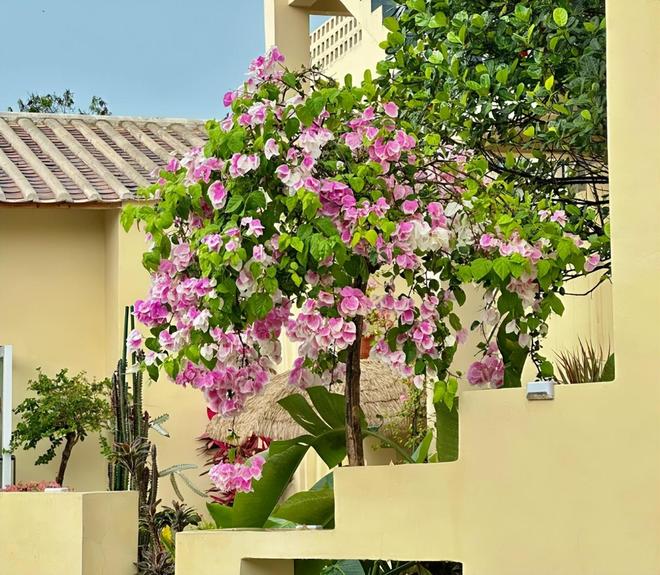 北海亲子游5天4晚价格跟团五日游报价AG真人国际厅北海亲子跟团游多少钱？(图6)